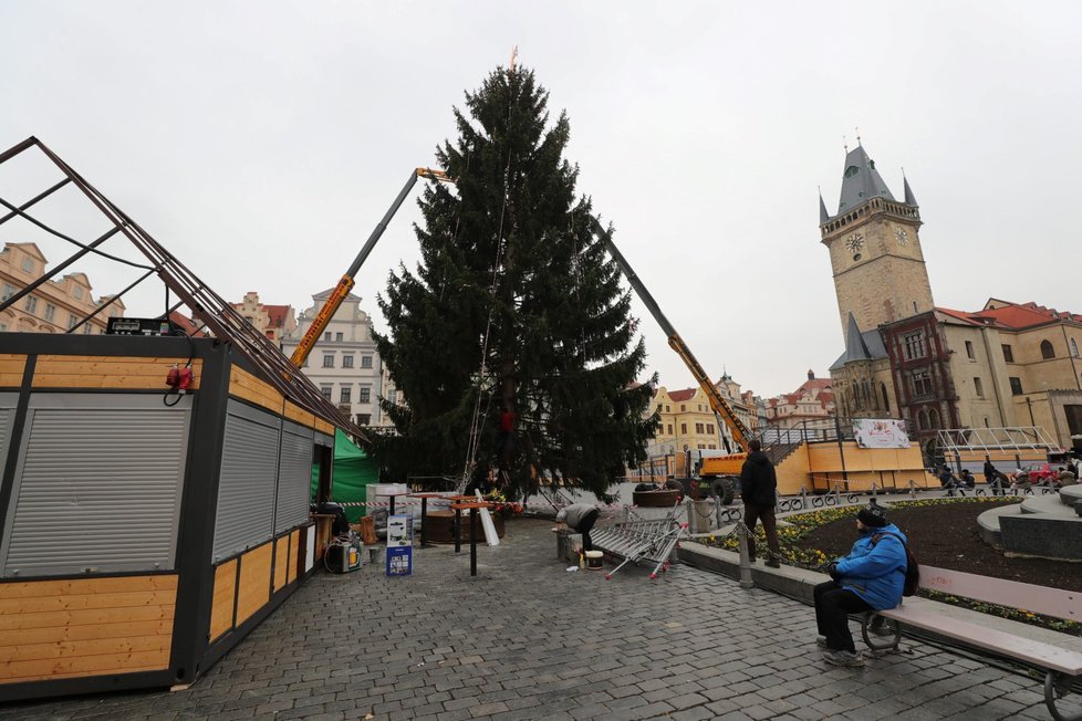 Zdobení vánočního stromu na Staroměstském náměstí v Praze bylo zahájeno 26. listopadu 2019.