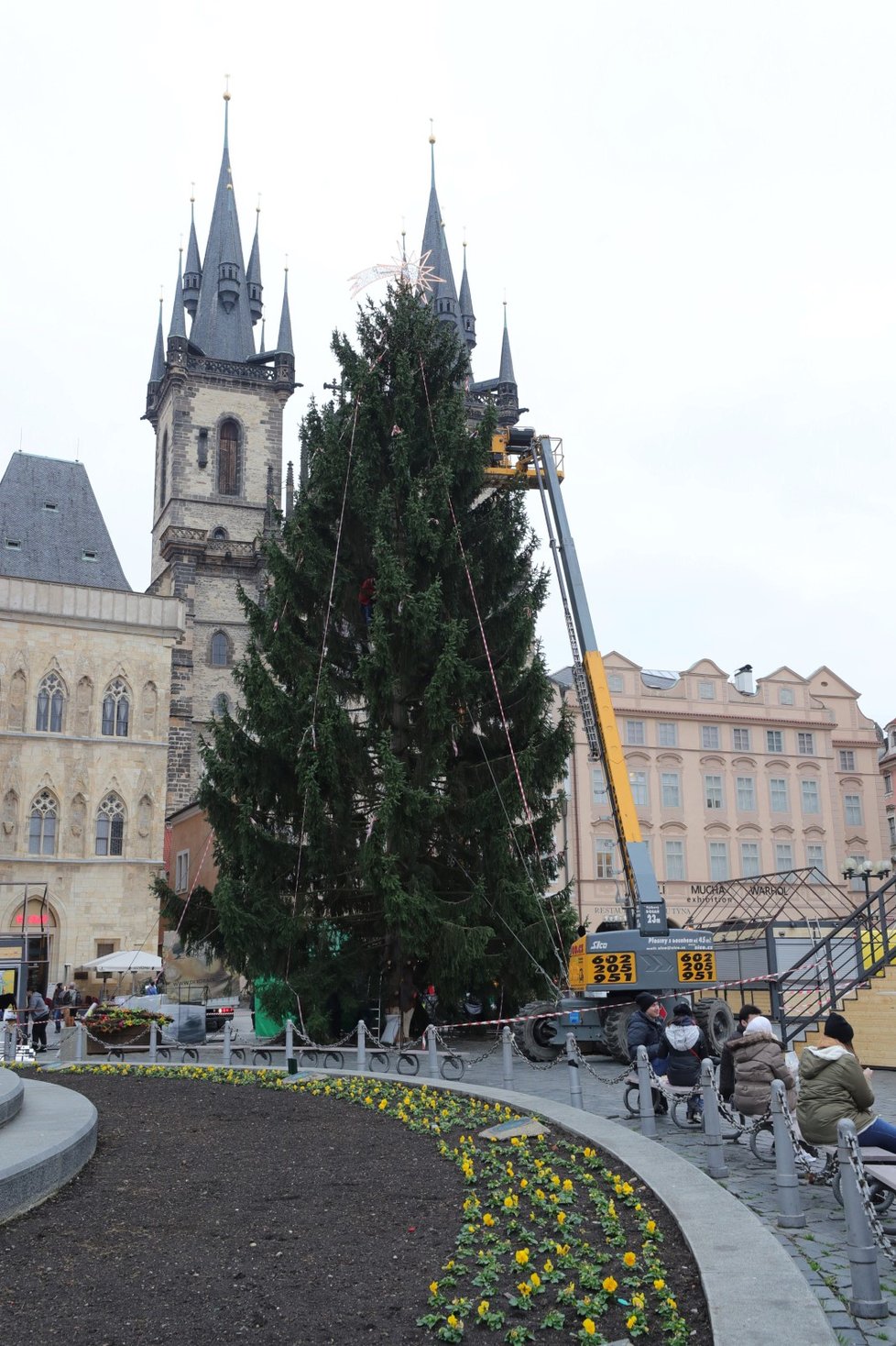 Zdobení vánočního stromu na Staroměstském náměstí v Praze bylo zahájeno 26. listopadu 2019.