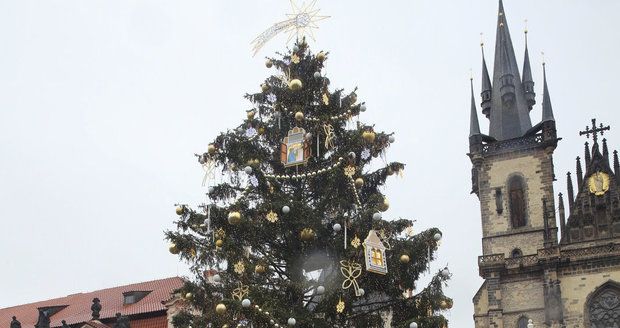 Vánoční strom na Staroměstském náměstí je vysoký 22 metrů.