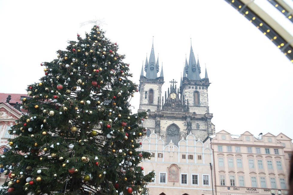 Vánoční trhy na Staroměstském náměstí odstartovaly slavnostním rozsvícením stromečku. 