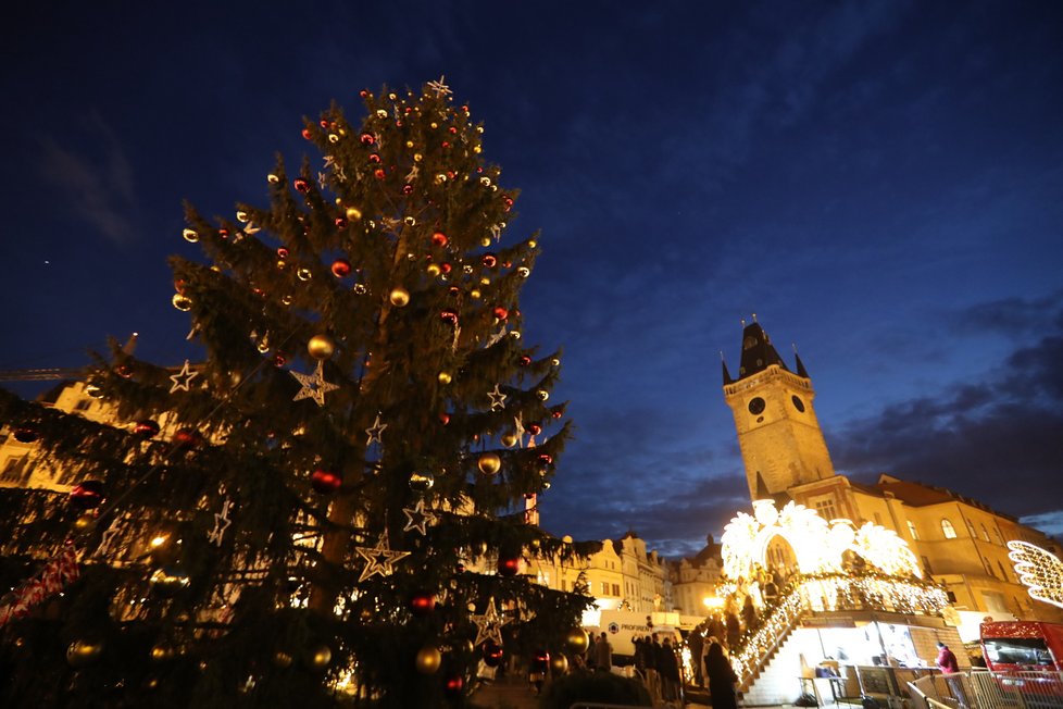 Vánoční strom na Staroměstském náměstí. (25. listopad 2022)