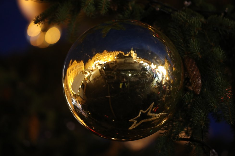 Vánoční strom na Staroměstském náměstí. (25. listopad 2022)