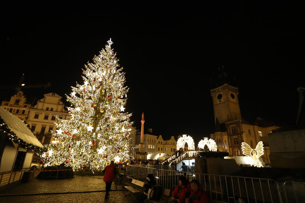 Vánoční strom na Staroměstském náměstí. (25. listopad 2022)