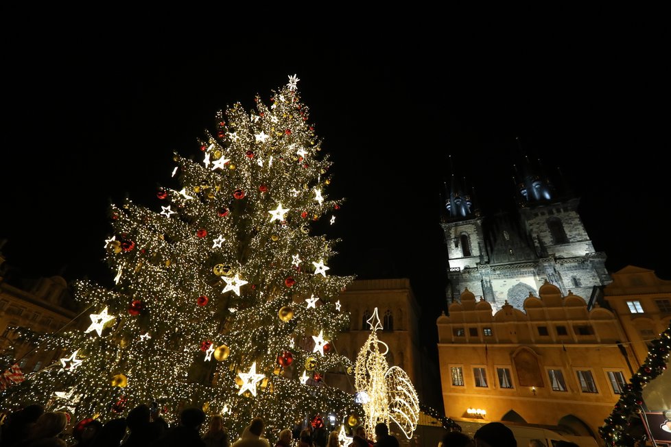 Vánoční strom na Staroměstském náměstí. (25. listopad 2022)