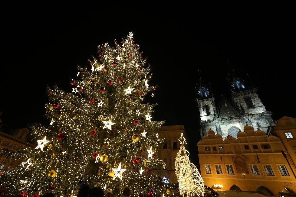 Vánoční strom na Staroměstském náměstí. (25. listopad 2022)