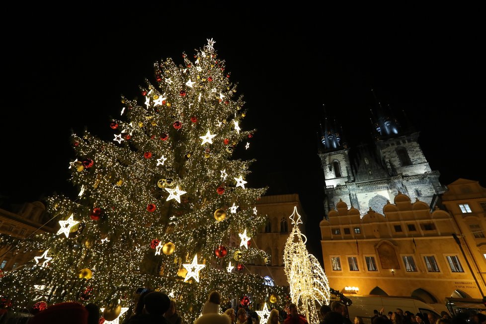 Vánoční strom na Staroměstském náměstí. (25. listopad 2022)