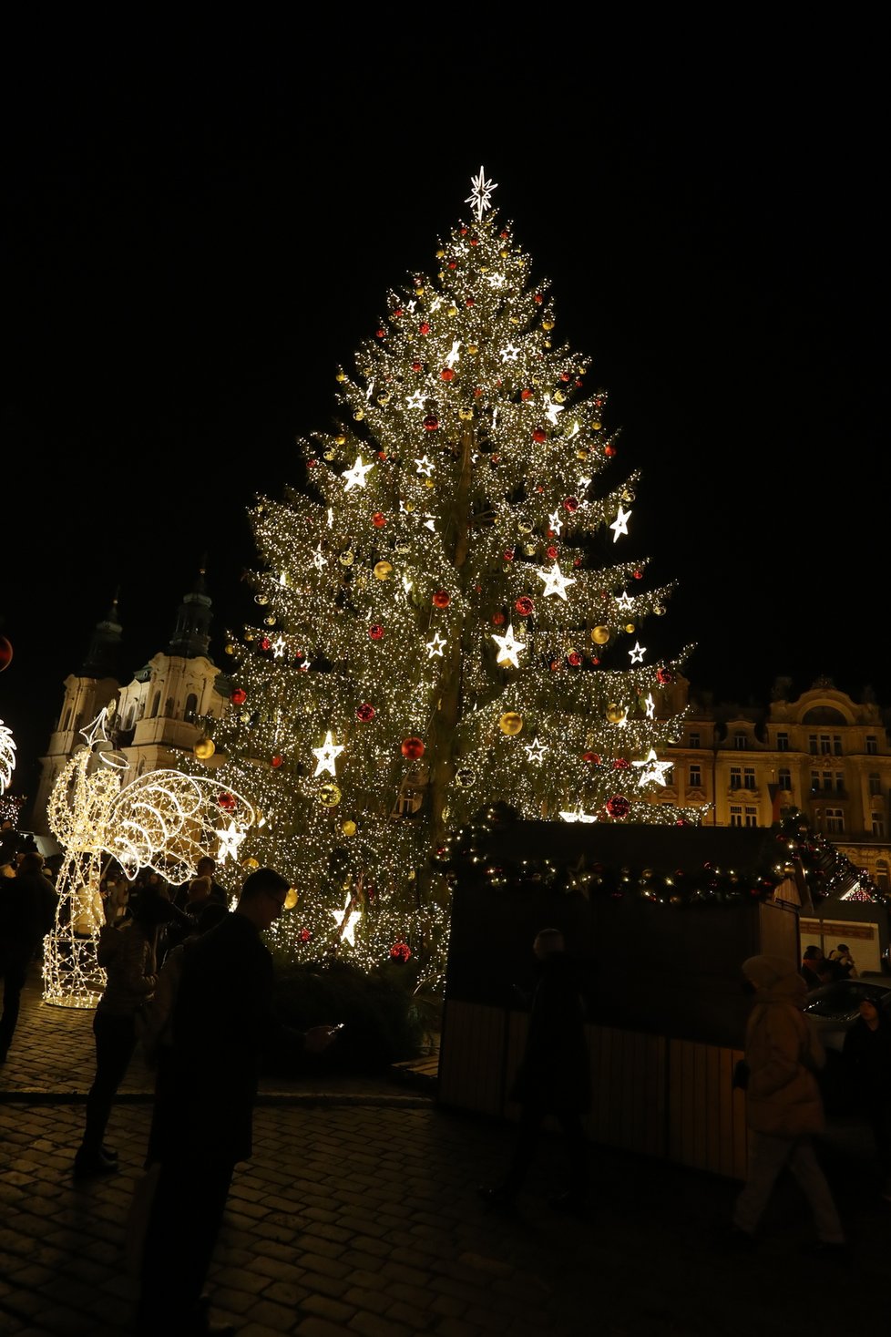 Vánoční strom na Staroměstském náměstí. (25. listopad 2022)