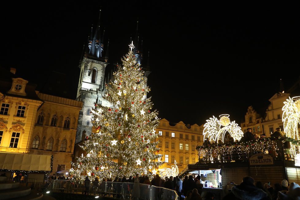 Vánoční strom na Staroměstském náměstí. (25. listopad 2022)