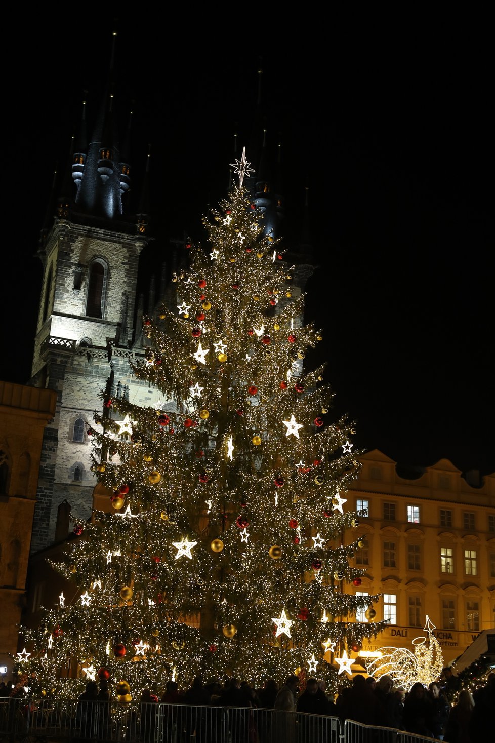 Vánoční strom na Staroměstském náměstí. (25. listopad 2022)