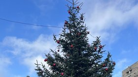 Vánoční výzdoba v Londýně je už na začátku listopadu - včetně vánočních stromků