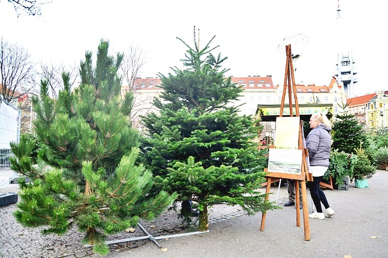 Vánoční trhy na Jiřího z Poděbrad můžete navštívit až do 24. prosince.