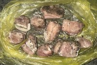 Smrtelné nástrahy na psy v Praze 7: Vařené maso s hřebíky! Policie hledá svědky