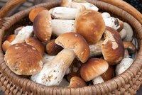 6 tipů na to, jak co nejlépe zpracovat houby!