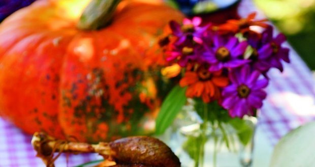Dopřejte si podzimní labužnický zážitek – tradiční svatomartinskou husu s vynikající přílohou.