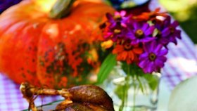 Dopřejte si podzimní labužnický zážitek – tradiční svatomartinskou husu s vynikající přílohou.