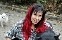 Eliška (46) z Bukovinky u Brna založila psí hospic!