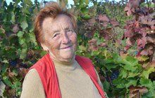Marie (83) z Bořetic patří k nejstarším sběračkám hroznů u nás!