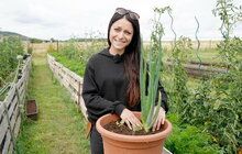 Měla být učitelkou, dnes se Lenka Šulcová (39) zabývá přírodními zahradami!