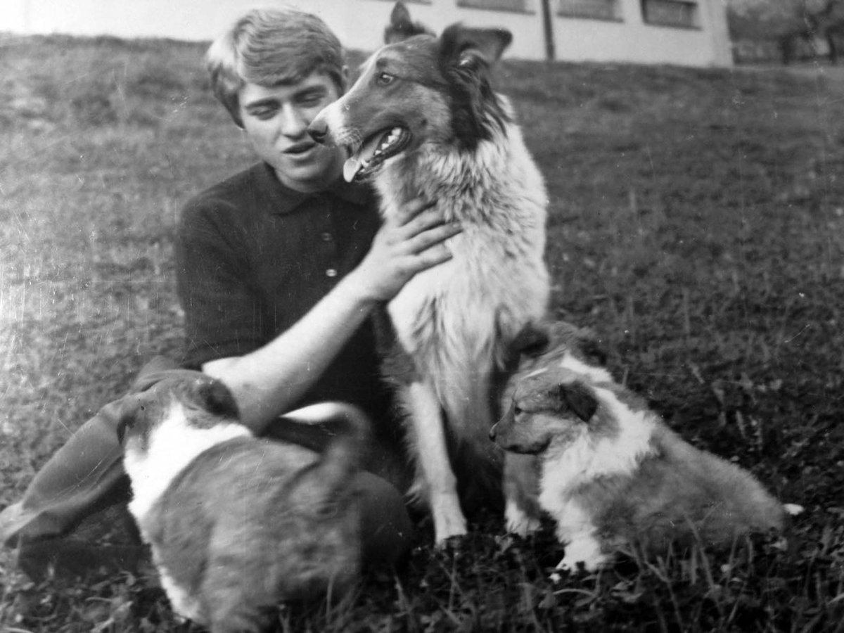 1968 - Patnáctiletý kynolog Vašek se svojí collií Bellou a jejími štěňátky. Bellu dostal od rodičů v jedenácti letech.