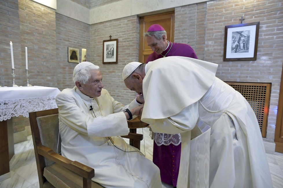Papež Benedikt se po odmlce objevil na veřejnosti. Po boku papeže Františka se zúčastnil jmenování nových kardinálů.
