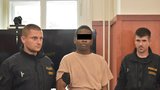 Azylant obviněný ze znásilnění dívky (16) u Terezína míří před soud: Hrozí mu 10 let