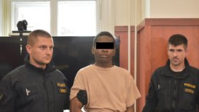 Afričan odsouzený na za znásilnění dívky na Litoměřicku.