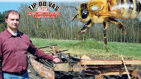 Včelař Martin Köppl ukazuje, co zbylo ze včelína. Někdo mu ho zapálil.
