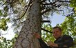 Stavět brtě na stromech učil Motyku polský včelař Andrzej Pazura.