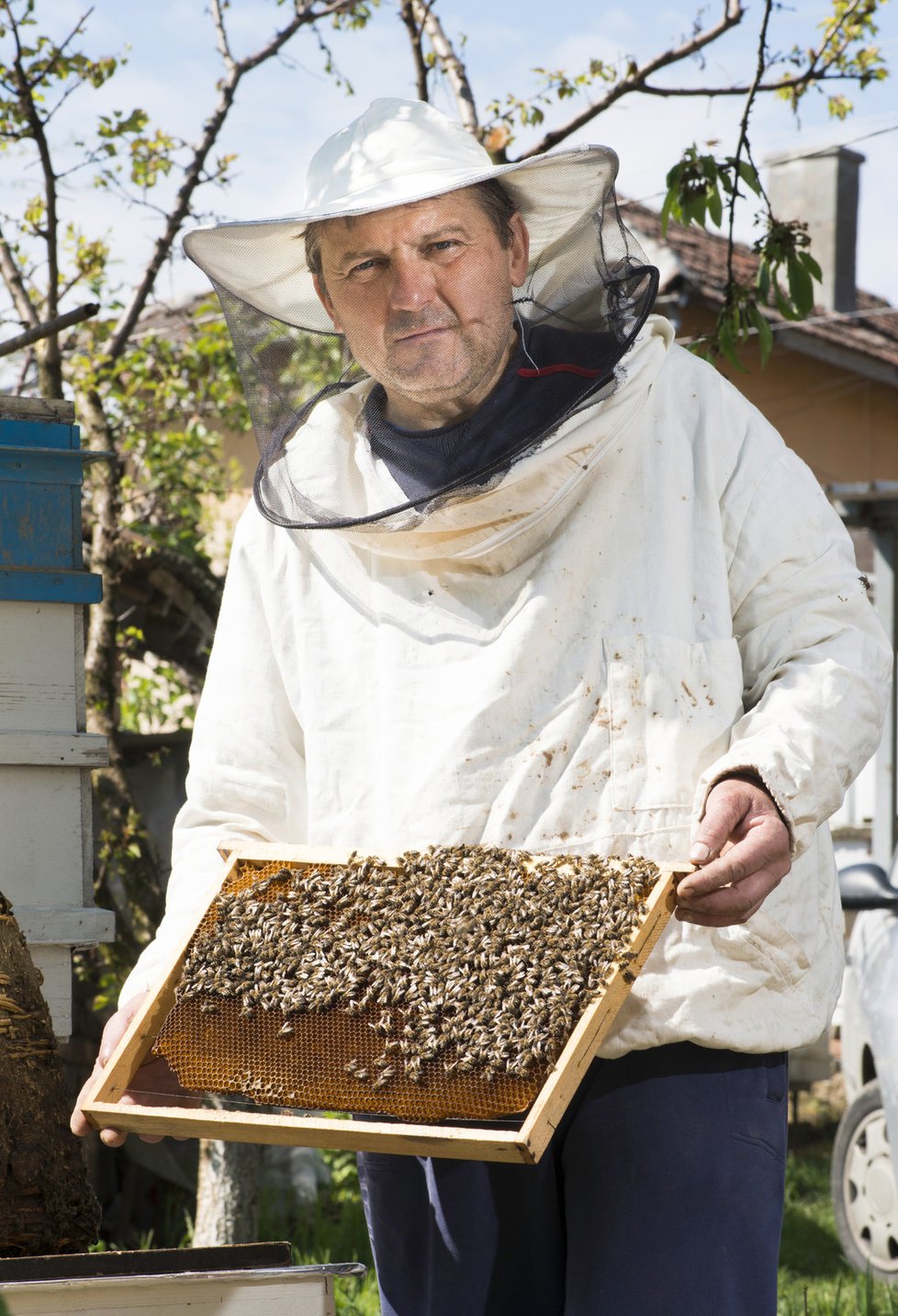 Včelař