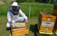 Velká zpráva o cenách medu: VČELAŘ VARUJE! 