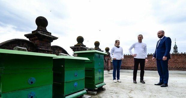 Na magistrátních budovách v Plzni přibyly nové včelíny.