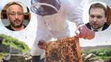 Trest za antibitotika medu: NIŽŠÍ DOTACE z ministerstva zemědělství? Kdo odskáče vinu Včelpa? Poctiví včelaři!