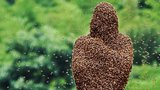 Farmáře v trenkách zasypalo 27 kilogramů včel