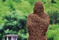 Farmáře v trenkách zasypalo 27 kilogramů včel
