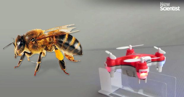 Místo včel mají přírodou létat opylovací drony. Čouhají z nich koňské žíně 