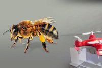 Místo včel mají přírodou létat opylovací drony. Čouhají z nich koňské žíně