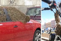 Včely útočí: Po autě v Praze obsypaly motorku v Kroměříži!