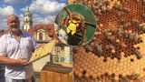 Schytá až 200 žihadel ročně. Zdeněk (54) se stará o pražské včely: Za dobrou péči nás odmění, říká