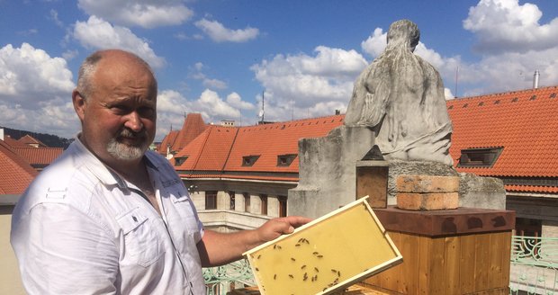 Zdeněk Růžička se stará o několik včelínů po celé republice. Mimo jiné má na starosti i včely na střeše magistrátu hlavního města.