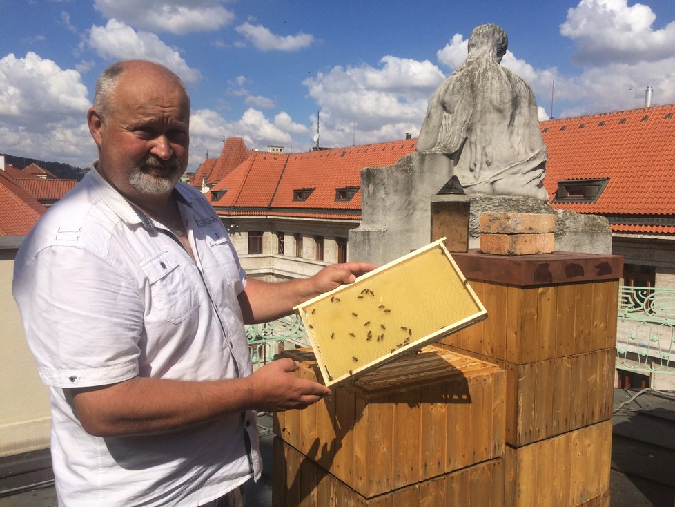 Pan Růžička se stará o několik včelínů po celé republice. Mimo jiné má na starosti i včely na střeše magistrátu hlavního města.