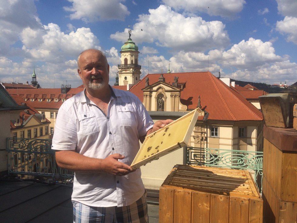 Pan Růžička se stará o několik včelínů po celé republice. Mimo jiné má na starosti i včely na střeše magistrátu hlavního města.