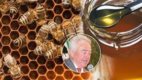 Kvalitní med prodáváme do ciziny. Češi pak musí jíst šizené „šmejdy“ z Číny