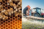 Tribunál Soudního dvora Evropské unie dnes potvrdil platnost omezení při užívání tří pesticidů, které mají podle vědců škodlivý vliv na včely.