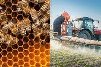 Soudní dvůr EU schválil omezení pesticidů, ohrožují včely. Zákaz se nelíbí Česku