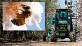 Izrael se snaží nahradit činnost včel technologiemi.