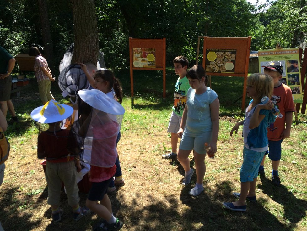 Včelí úly u rybníka Labuť navštívily i děti.