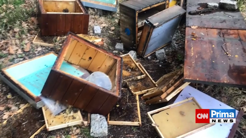Bezcitný vandal zničil včelaři na Liberecku úly: Sbírali jsme mrtvé včely a plakali, říká Martin