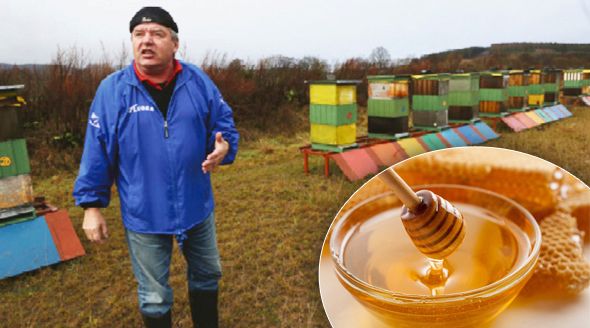 500 otrávených včelstev a málo medu: Za umírající roje mohou i zemědělci.