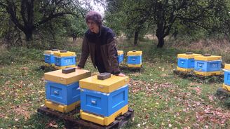  OBRAZEM: Z vystudovaného novináře nejmladším včelařem