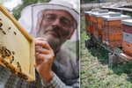 Komunitní včelaření